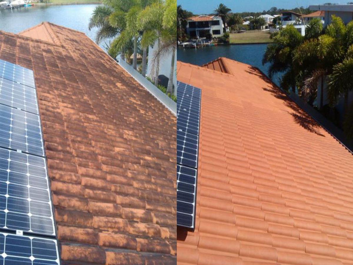 Sunshine Pressure Cleaning What makes a roof dirty